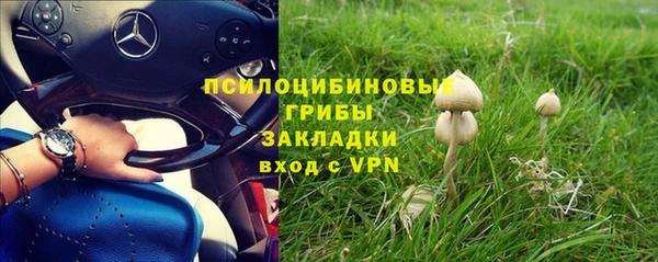 а пвп мука Арсеньев