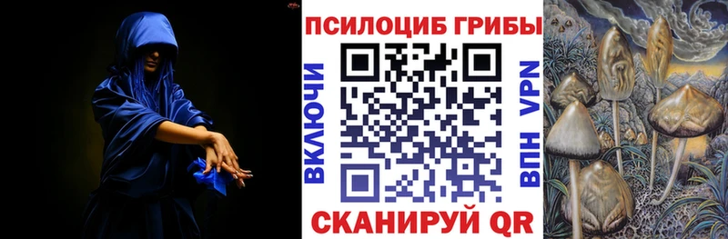 Галлюциногенные грибы Psilocybe Лахденпохья