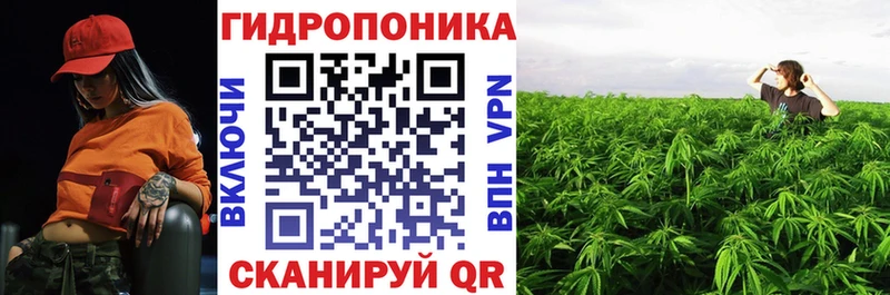 хочу   Лахденпохья  Бошки марихуана VHQ 